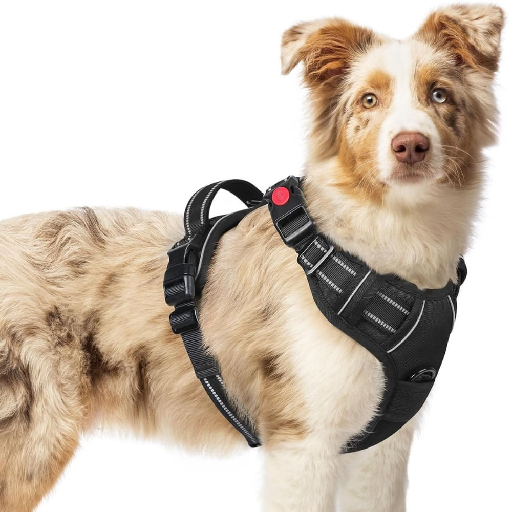 Arnés Ajustable para Perro Talla Medium Antitirones Reflectante con Asa Color Negro Arnés Ajustable para Perro Talla Medium Antitirones Reflectante con Asa Color Negro