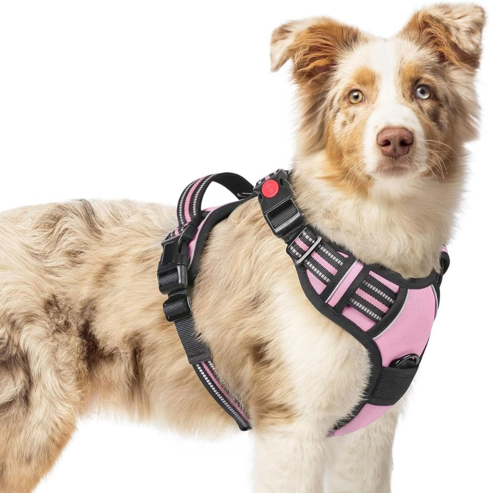 Arnés Ajustable para Perro Talla Medium Antitirones Reflectante con Asa Color Rosado Arnés Ajustable para Perro Talla Medium Antitirones Reflectante con Asa Color Rosado