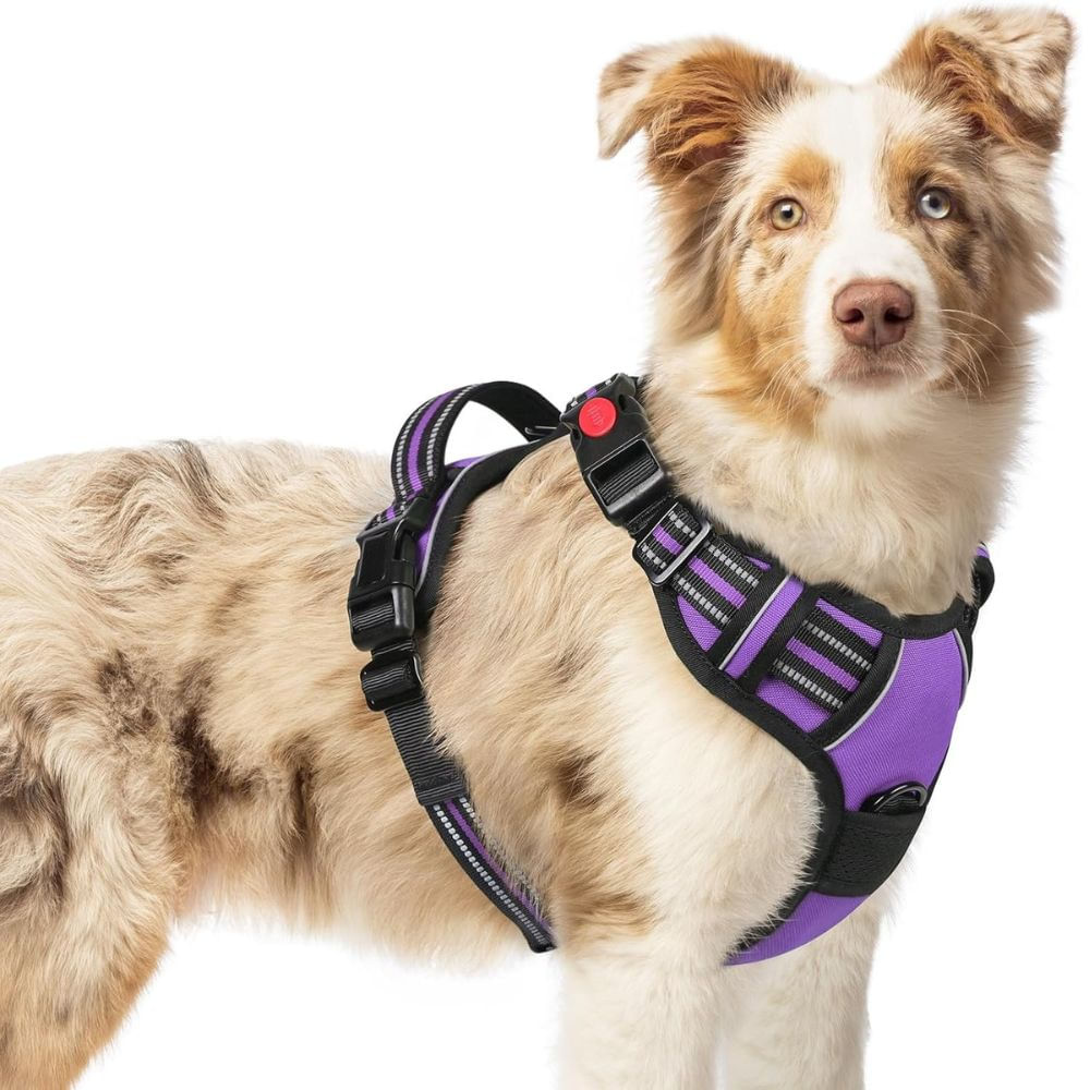 Arnés Ajustable para Perro Talla Medium Antitirones Reflectante con Asa Color Púrpura Arnés Ajustable para Perro Talla Medium Antitirones Reflectante con Asa Color Púrpura