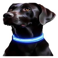 Collar Con Luz Led Blanca Reflectante Nailon Para Perro M
