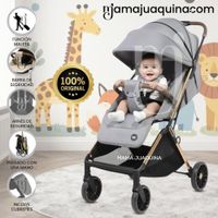 Coche Maleta de Paseo DENVER Edición Exclusiva Gray