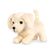 image-27d36c46338941b7ab62ad9c9ad8be8f