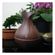 imageUrl_3