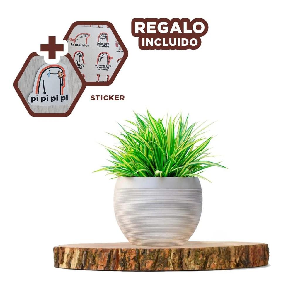 Version circular de madera 33cm para decoracion de hogar en comedor diario Y+Regalo Sticker