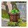 imageUrl_2