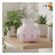 imageUrl_5