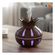imageUrl_5