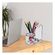 imageUrl_5