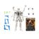 imageUrl_5