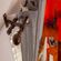 imageUrl_4