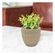 imageUrl_5