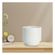 imageUrl_2