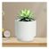 imageUrl_3