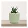 imageUrl_1