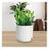 imageUrl_5