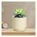 imageUrl_5