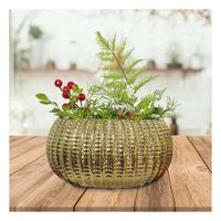 Jardinera Ovalada Ceramica Galvanizada 15x20x10.5cm Dorado Y+Post It