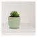 imageUrl_5