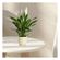 imageUrl_5