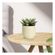 imageUrl_2