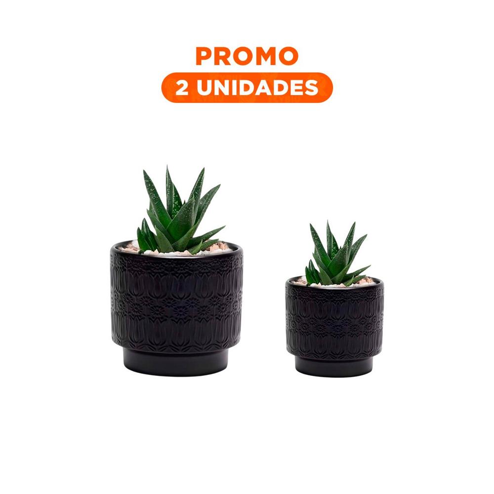 Pack2 Contenedor Negro De Ceramica 13x13cm Cilindro Para Tulipanes Flores Interior