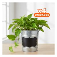 Pack4 Soporte para Planta Cubo Metal Doble Asa 10x8.5cm Plateado Rectangular