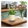 imageUrl_5