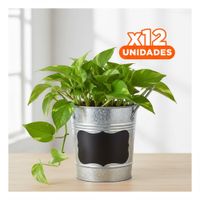 Pack12 Recipiente Cubo de Metal con Doble Asa 10x8.5cm Plateado Diseño Firme