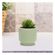 imageUrl_5
