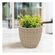 imageUrl_5
