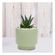 imageUrl_5