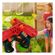 imageUrl_5