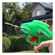 imageUrl_3