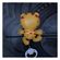 imageUrl_5