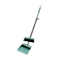 Ayuda con Recogedor Verde para Limpieza del Hogar Todos los Dias Y+Papel Regalo