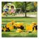 imageUrl_5