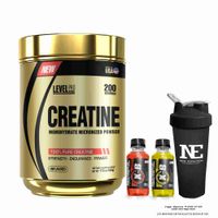 LEVEL PRO CREATINE 500 GR. + SHAKER