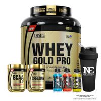 COMBO LEVEL PRO - WHEY GOLD PRO 5.5 LIBRAS CHOCOLATE+ BCAA 540GR CITRUS PUNCH+ CREATINE 500G +SHAKER
