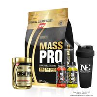 COMBO LEVEL PRO - MASS PRO 6.6 LIBRAS CHOCOLATE + CREATINE 500 GR. + SHAKER