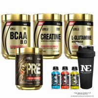 COMBO LEVEL- GLUTAMINE 500GR + CREATINE 500GR + BCAA 540GR CITRUS P. + PRE BOOST 352GR APPLE +SHAKER