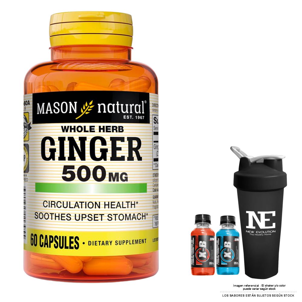 VITAMINAS MASON NATURAL - GINGER (KION) 500 MG (60 CAP) + SHAKER