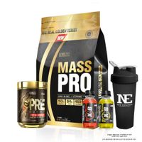 COMBO LEVEL PRO - MASS PRO 6.6 LIBRAS CHOCOLATE + PRE BOOST 352 GR. GREEN APPLE + SHAKER