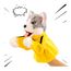 imageUrl_1