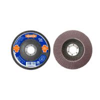 Disco De Desbaste Flap 115mm Grano P60 Wyl1302 - Wadfow