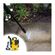 imageUrl_6