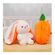 imageUrl_8