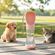image-d340c33140be4b34847abef389c747c8