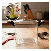 Olla de Borosilicato Resistente al callor 5.0 L