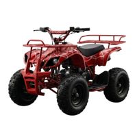 Cuatrimoto 49cc para Niños y Niñas a Gasolina Recreativo  Diseño SpiderMan Rojo