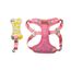 image-e08fb36289ac40a4bd459fb52ce85a4b